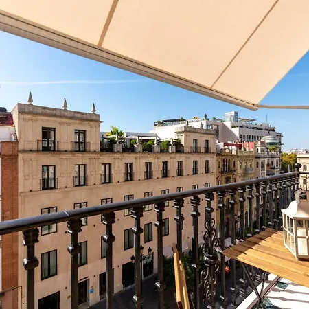 Premium Constitucion *